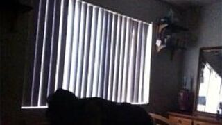 Bad girl - porn video